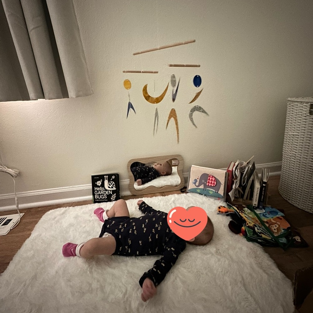 Motessori Mobile-set of 4